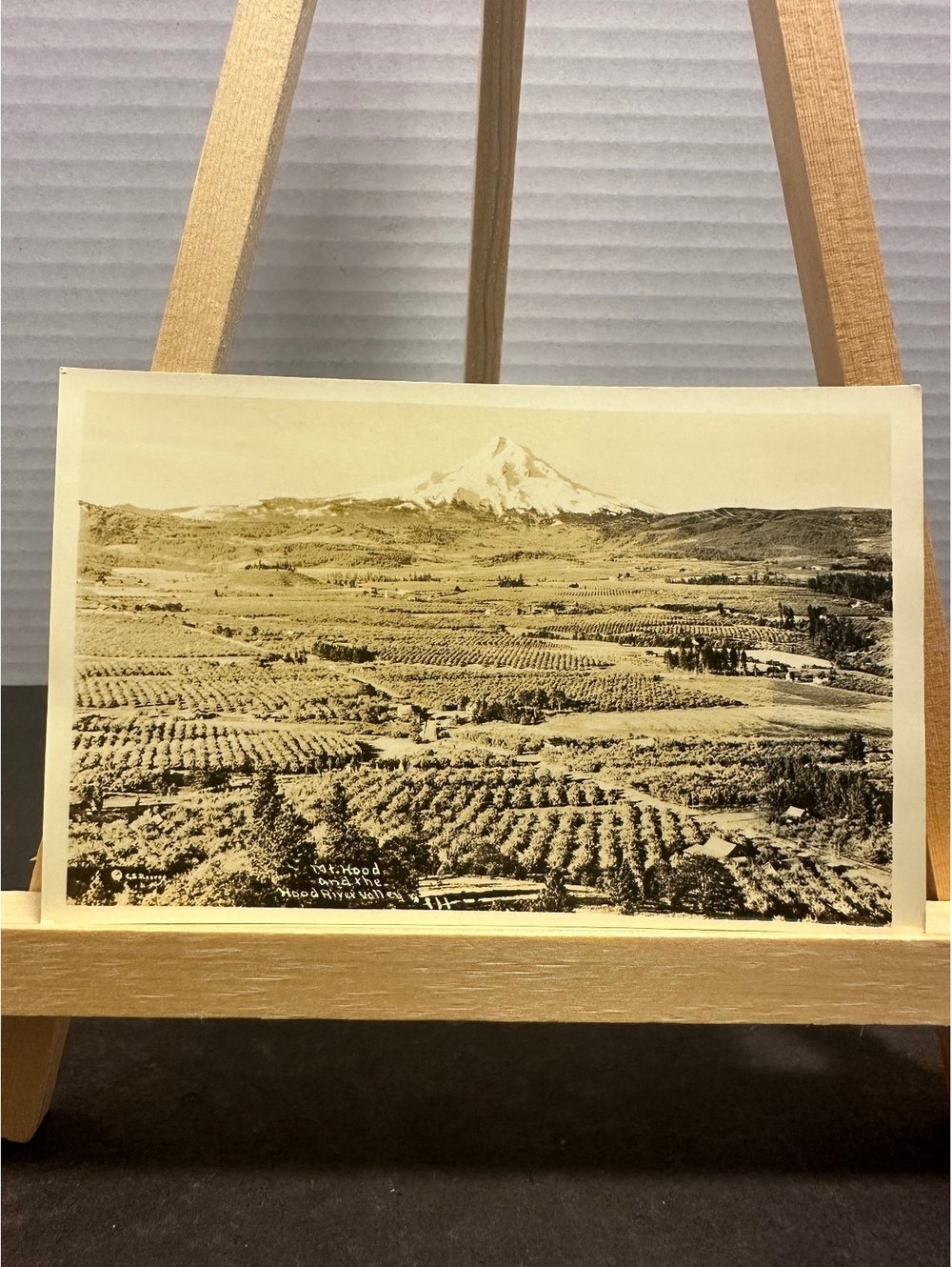 Antique RPPC Mt Hood Hood River Valley Oregon Orchards AZO Postcard